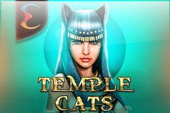 Temple Cats